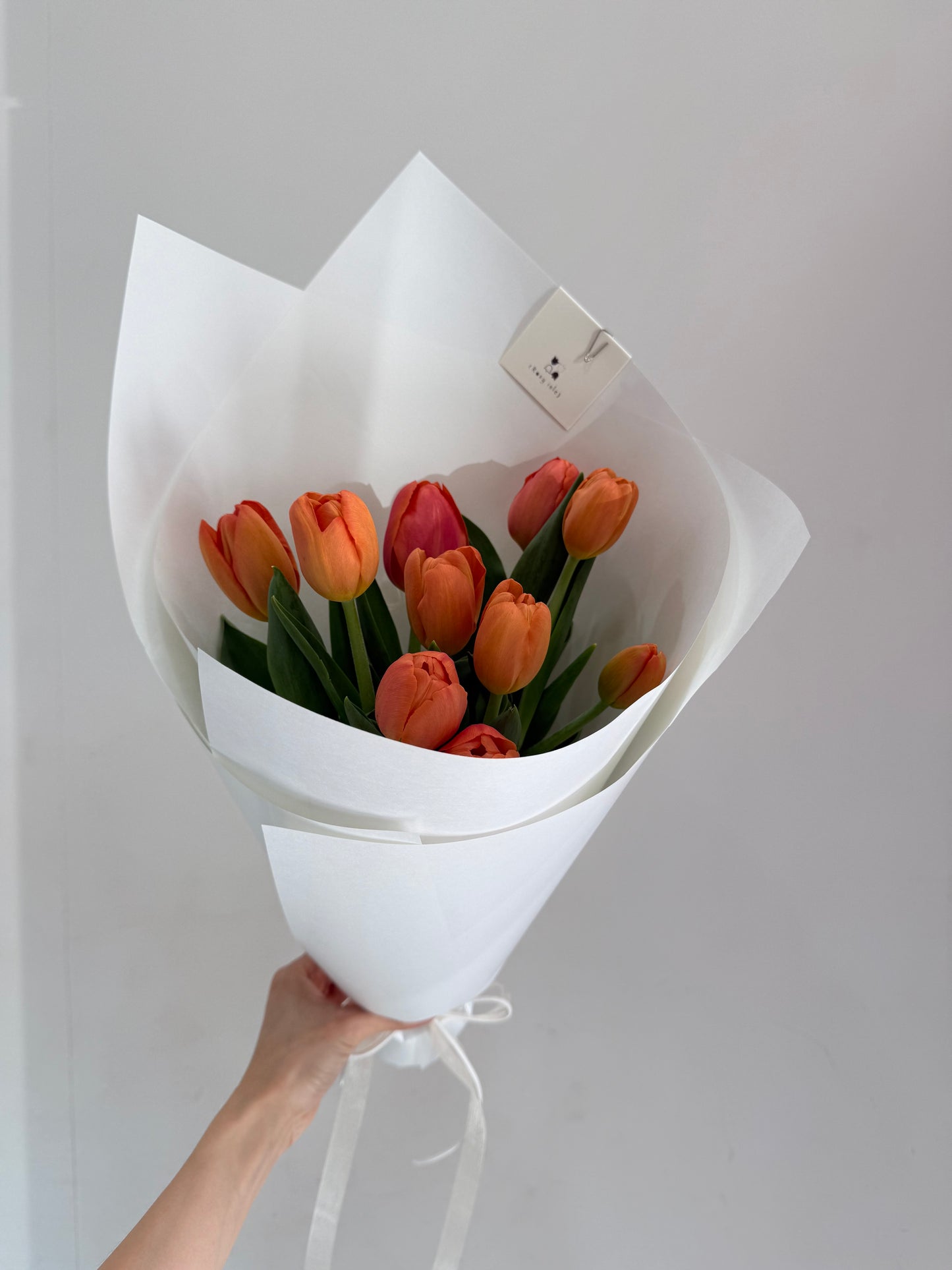 Tulips Rosy Isle