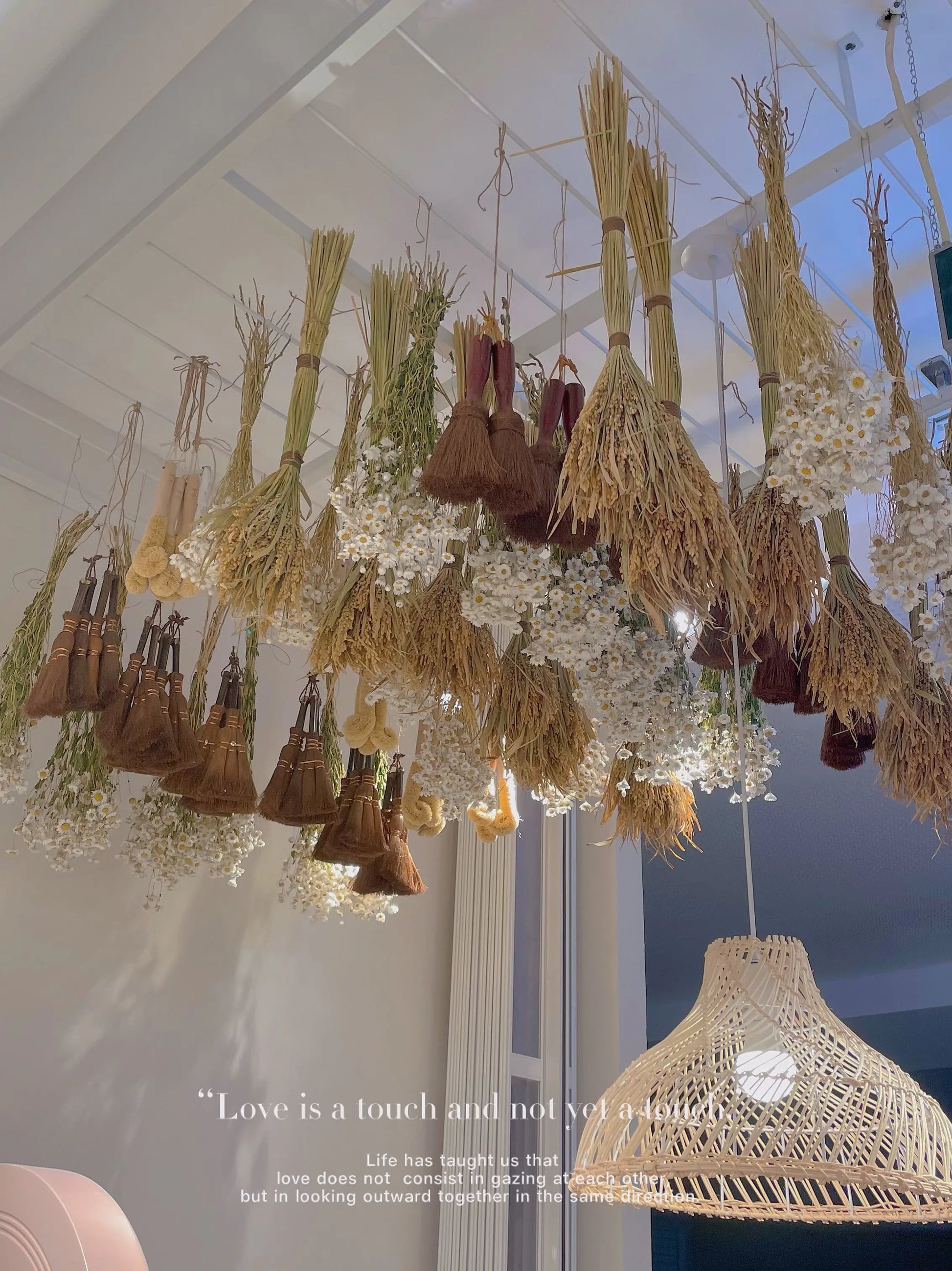Dried Floral Installations Rosy Isle