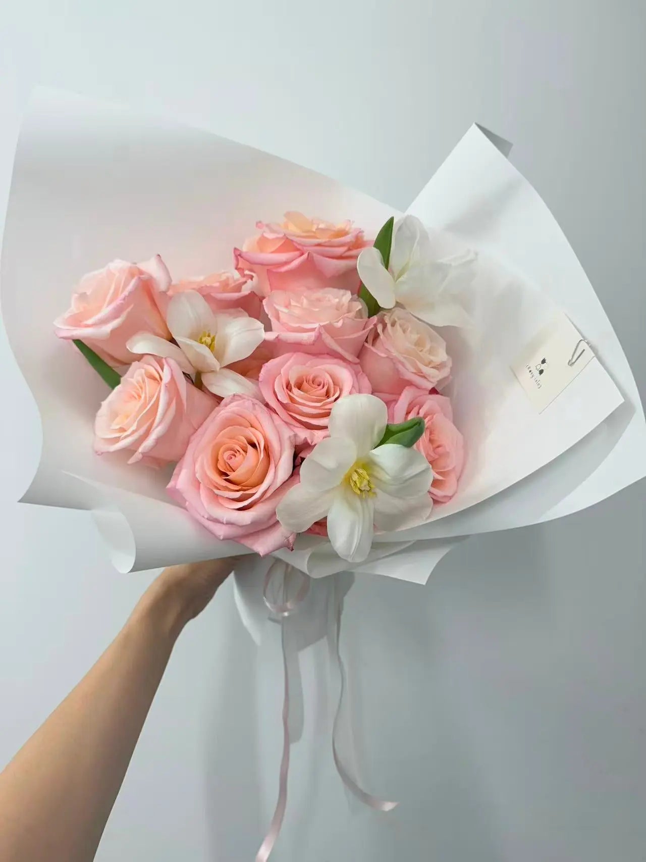 Blush Cloud Rosy Isle